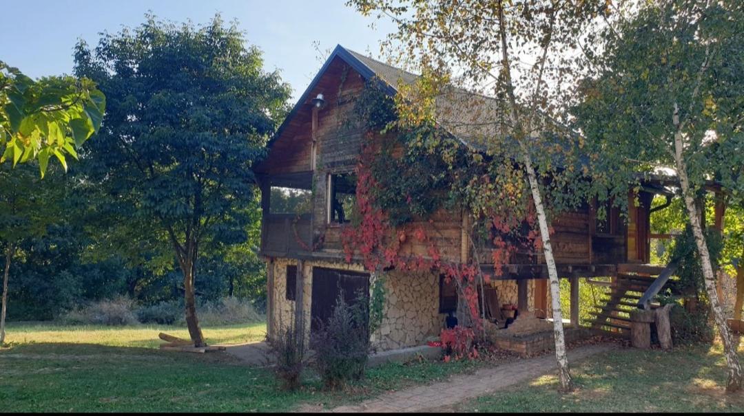 Log Cabin Βελιγράδι Εξωτερικό φωτογραφία