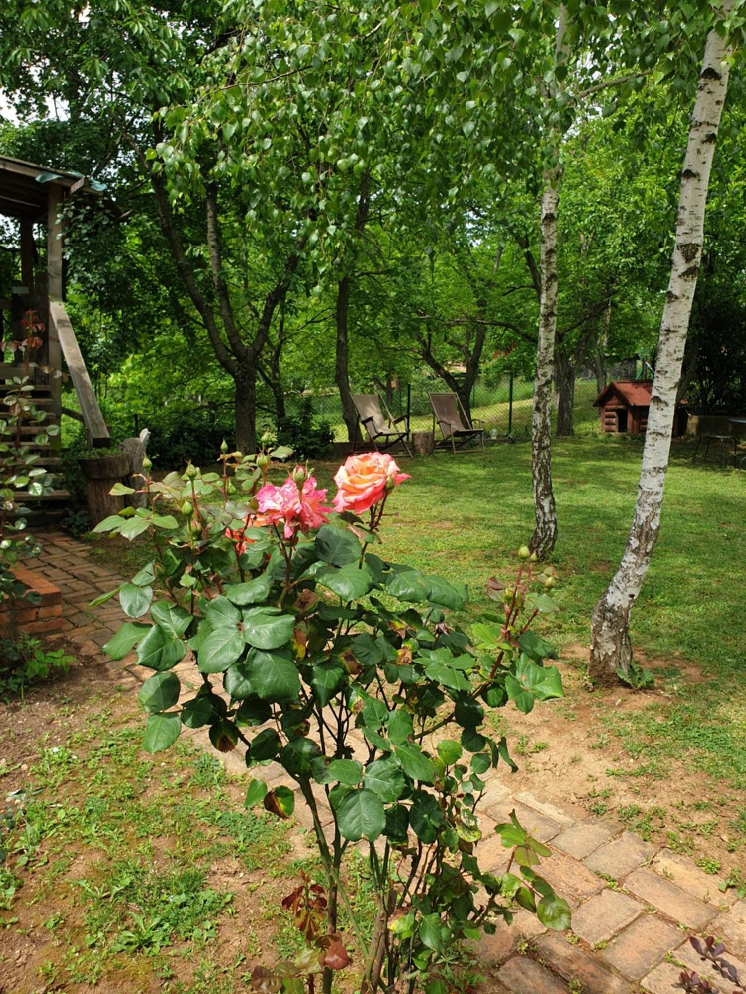 Log Cabin Βελιγράδι Εξωτερικό φωτογραφία